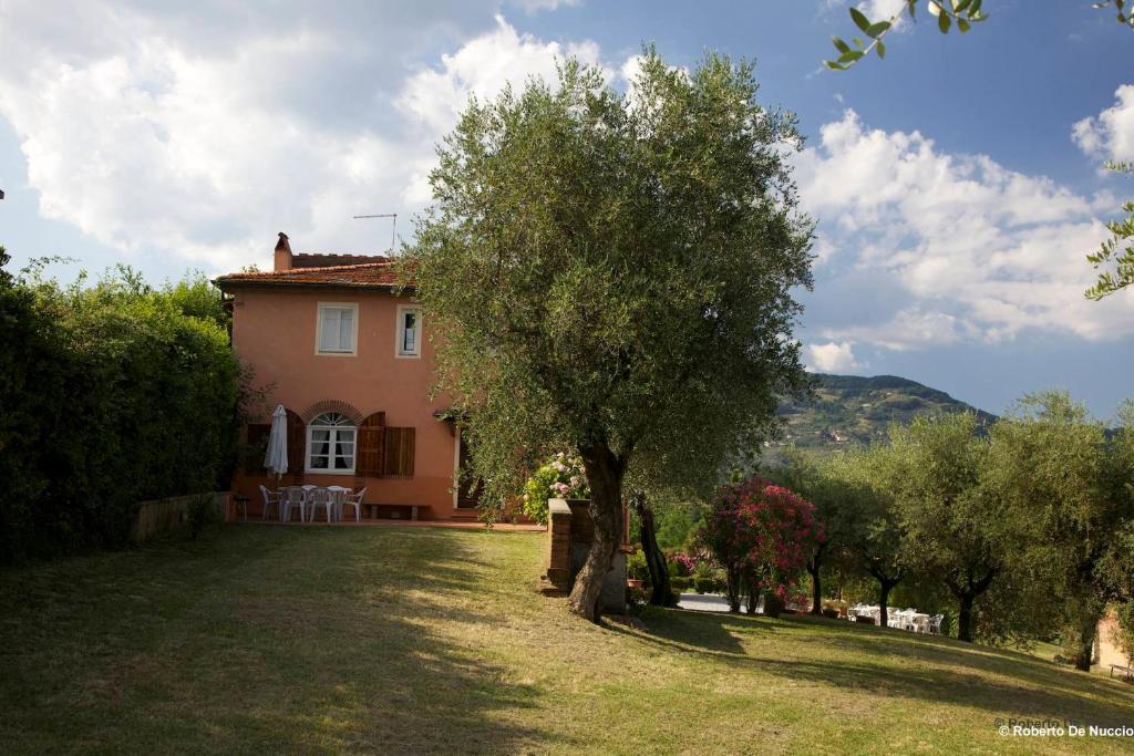 Tenuta Gaetano Spadaro Capannori Cameră foto